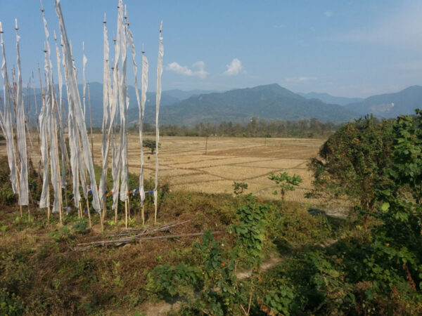 by the NCEA Paddy fields adjacent to the Mao river that are vulnerable to flooding and erosion / by the NCEA.