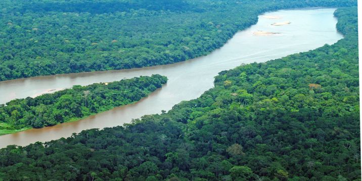 Central African Republic The Dzanga-Sangha Rainforest Reserves
