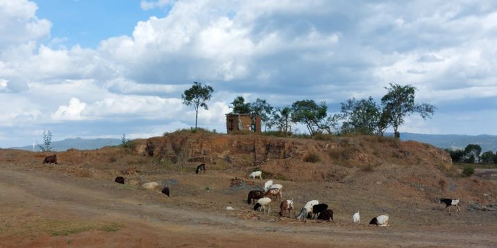 Kenya Foto Samburu - dec 2022