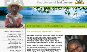 Developing an E(S)IA website for Zanzibar