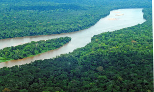 MoU with forest commission in Central Africa
