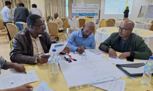 Ethiopia: NCEA and BRIGHT Project Host SEA Training