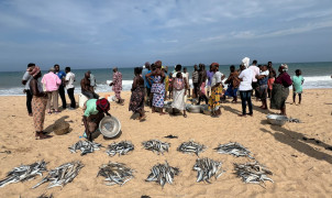 Ghana: SEA and coastal protection