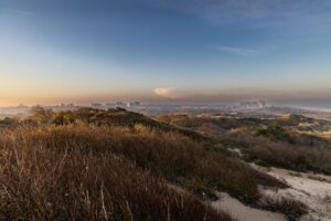 View of dunes and a city behind them, the Netherlands